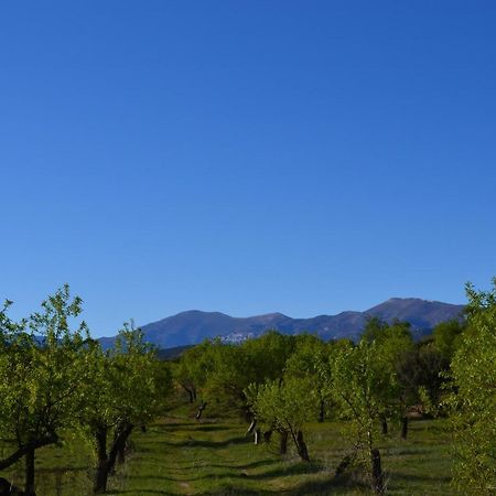 Rincon De Guara Pansiyon Bierge Dış mekan fotoğraf